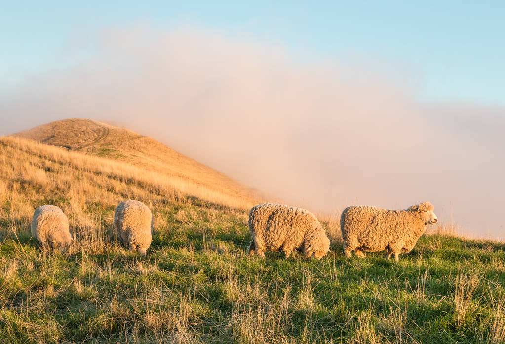 Merino felt,